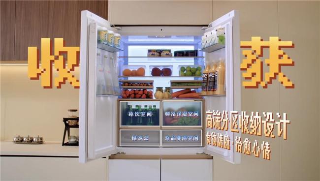 机到治愈系冰箱家电的情感升级凯发K8首页登录从懒人洗衣(图2)