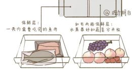 吃？一文搞懂冰箱食物保存时间凯发国际K8冻了1年的肉还能(图4)