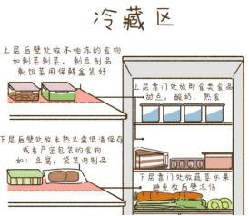 吃？一文搞懂冰箱食物保存时间凯发国际K8冻了1年的肉还能(图5)